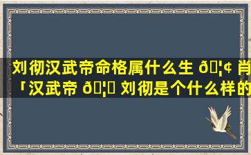 刘彻汉武帝命格属什么生 🦢 肖「汉武帝 🦅 刘彻是个什么样的人」